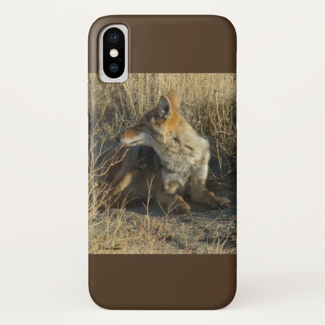 R16 Coyote Scratching Case-Mate iPhone Hülle (Rückseite)