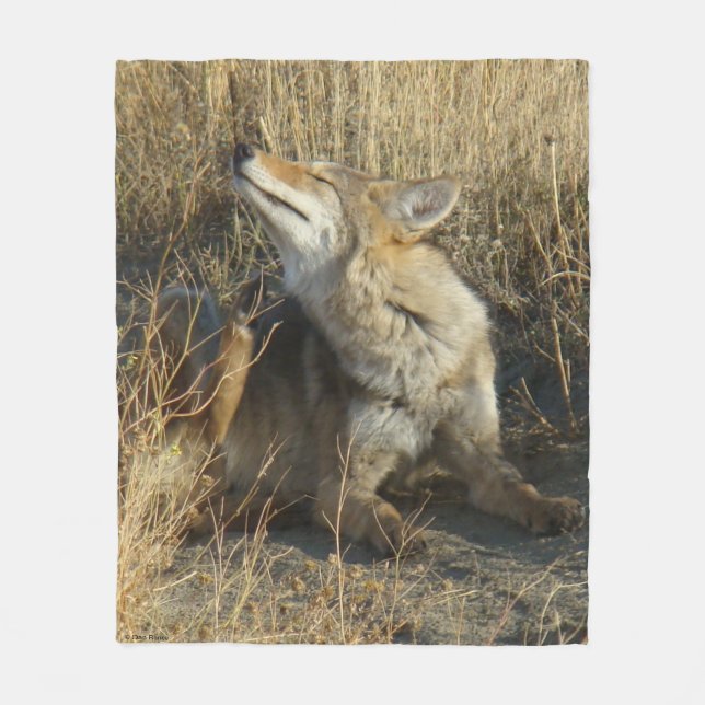 R17 Coyote Scratching Fleecedecke (Vorderseite)