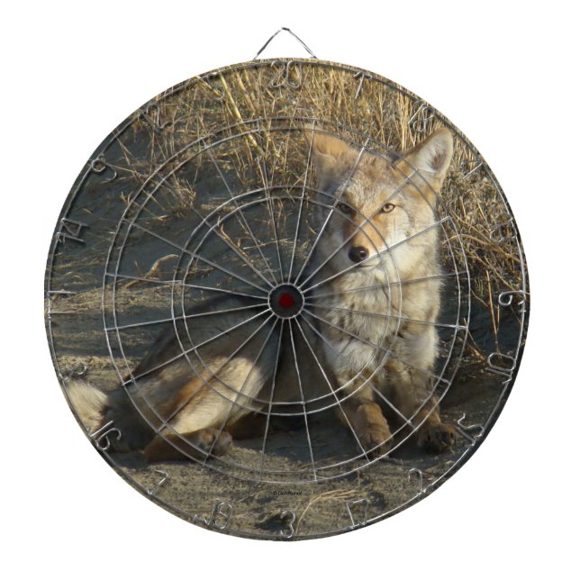 R19 Coyote Lay Dartscheibe (vorne)