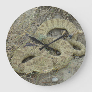 R20 Prärie Rattlesnake Große Wanduhr