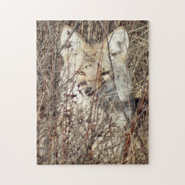 R21 Coyote "Watching You" Puzzle (Vertikal)
