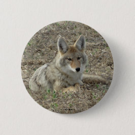 R22 Coyote Lay Button