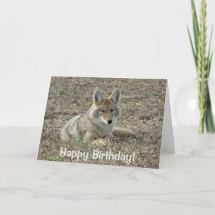 R22 Coyote Lay Karte