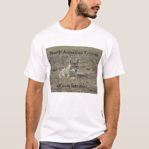 R22 Kojote liegt T-Shirt