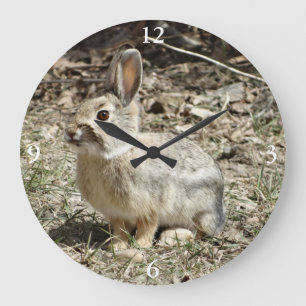 R24 Baumwollschwanzkaninchen Große Wanduhr