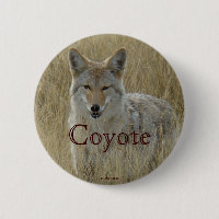 R2 Coyote in Großgras