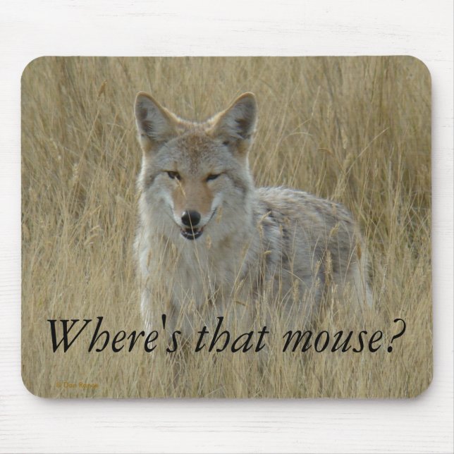 R2 Coyote in Großgras Mousepad (Vorne)