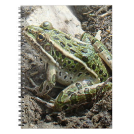 R3 Leopard Frosch Notizblock