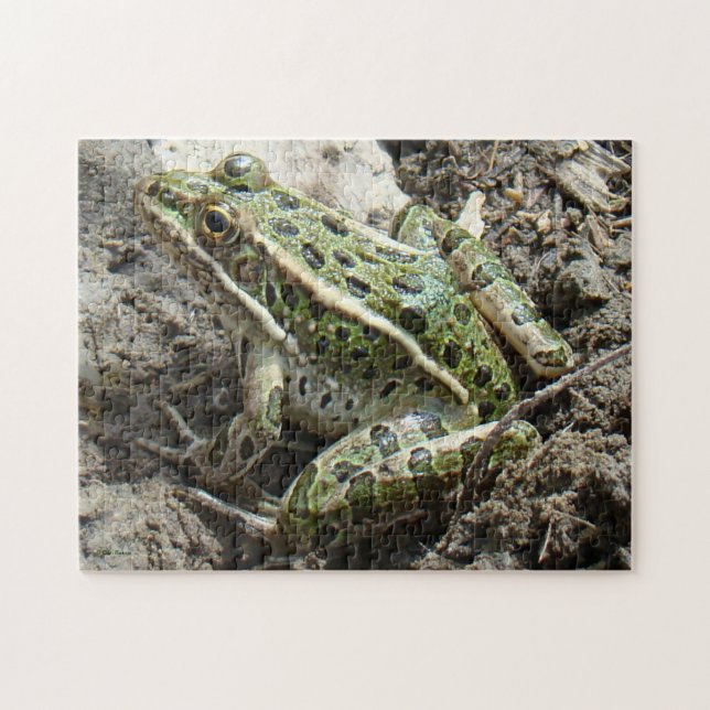 R3 Leopard Frosch Puzzle (Horizontal)