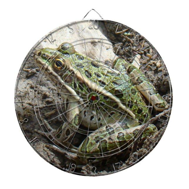 R3 Leopardfrosch Dartscheibe (vorne)