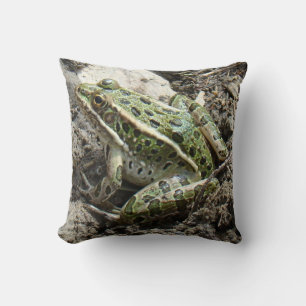 R3 Leopardfrosch Kissen