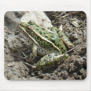 R3 Leopardfrosch Mousepad
