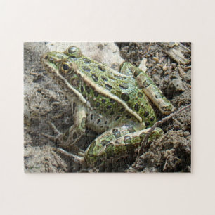 R3 Leopardfrosch Puzzle