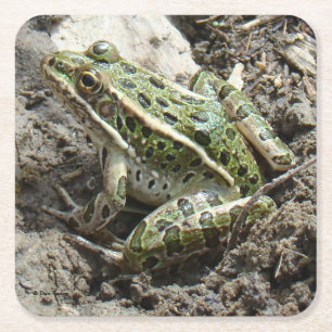 R3 Leopardfrosch Rechteckiger Pappuntersetzer