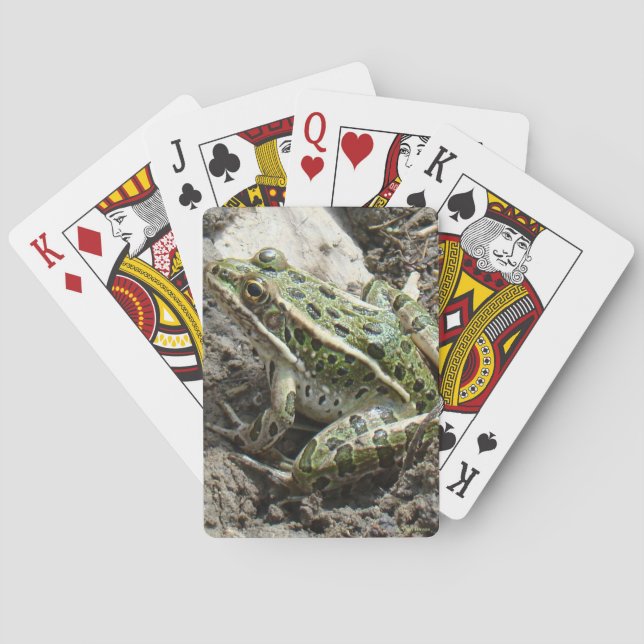 R3 Leopardfrosch Spielkarten (Rückseite)