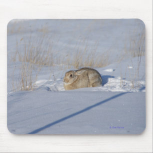R5 Baumwollschwanzkaninchen im Schnee Mousepad