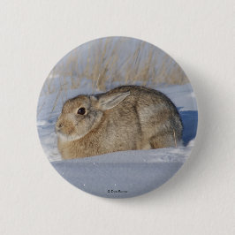 R5 Cottontail Kaninchen im Schnee Button