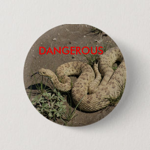 R6 Prairie Rattlesnake Button