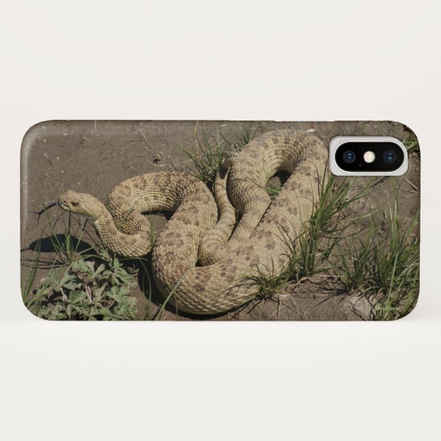 R6 Prairie Rattlesnake Case-Mate iPhone Hülle (Rückseite (Horizontal))