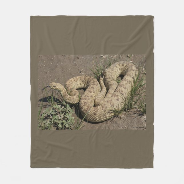 R6 Prairie Rattlesnake Fleecedecke (Vorderseite)