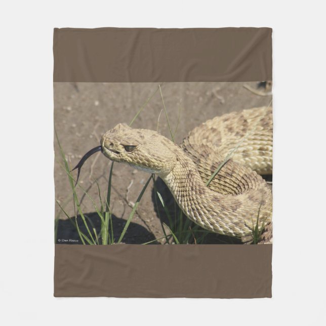 R6 Prairie Rattlesnake Fleecedecke (Vorderseite)