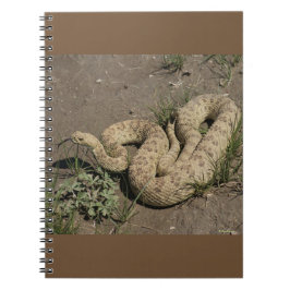 R6 Prairie Rattlesnake Notizblock