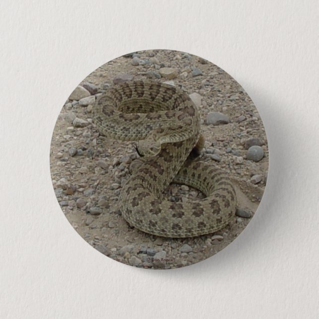 R9 Prairie Rattlesnake Button (Vorderseite)