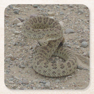 R9 Prairie Rattlesnake Rechteckiger Pappuntersetzer