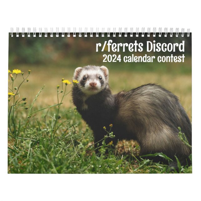 r/ferrets 2024 - Wettbewerb Kalender (Titelbild)