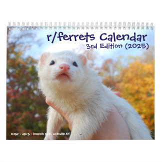 r/ferrets Calendar 3rd Edition (2025) Kalender