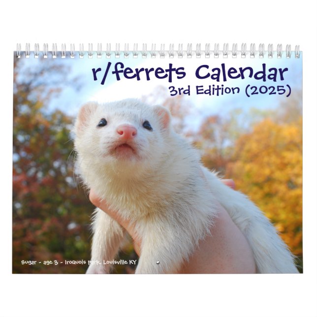 r/ferrets Calendar 3rd Edition (2025) Kalender (Titelbild)