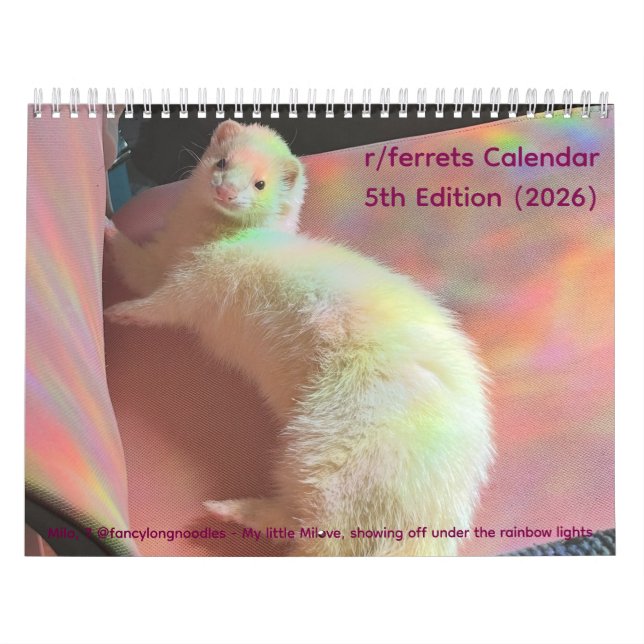 r/ferrets Kalender 5. Ausgabe (2026) (Titelbild)