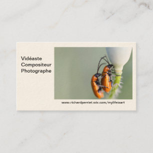 R.p-Visitenkarte Visitenkarte