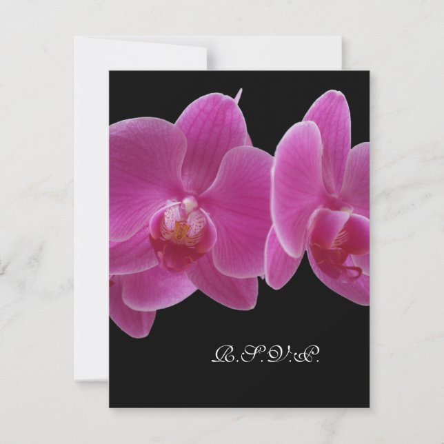 R.S.V.P. ohne Menü-Einladung für 5 x 7 Einladung (Vorderseite)