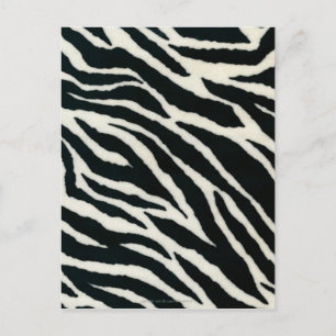 RAB Rockabilly Zebra Print Black & White Postkarte