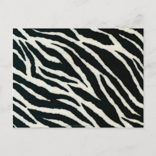 RAB Rockabilly Zebra Print Black & White Postkarte
