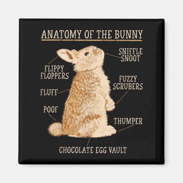 Rabbit Anatomy Bunny Lover Animal Pet Owner  Magnet (Vorne)