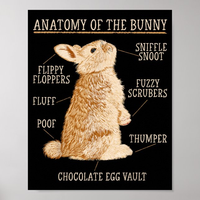 Rabbit Anatomy Bunny Lover Animal Pet Owner  Poster (Vorne)