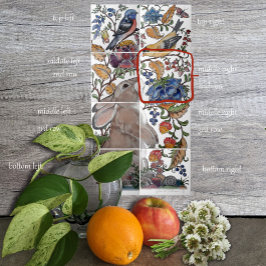 Rabbit Bird Jacobobobobobobobobobobobobobobobobobo Fliese