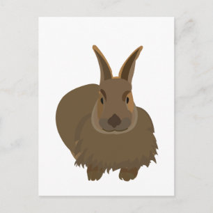 Rabbit Bunny Hare Postkarte