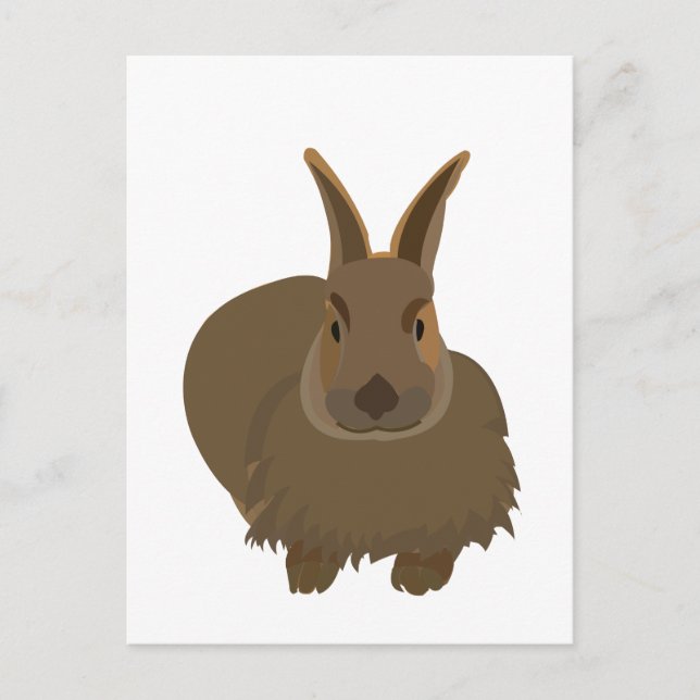 Rabbit Bunny Hare Postkarte (Vorderseite)