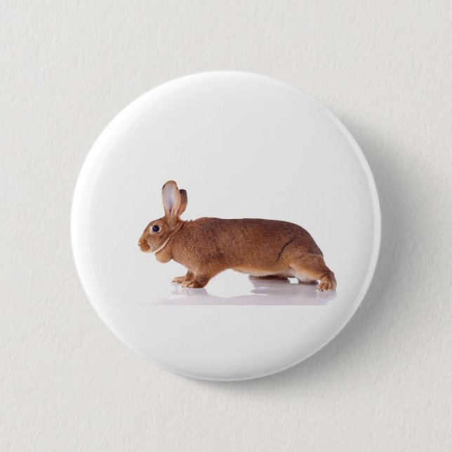 rabbit button (Vorderseite)