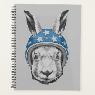 Rabbit Daredevil Planer