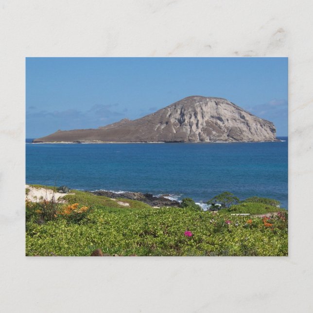 Rabbit Island Oahu Hawaii Postkarte (Vorderseite)