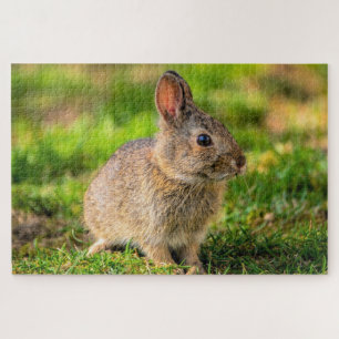 Rabbit Jigsaw Puzzle