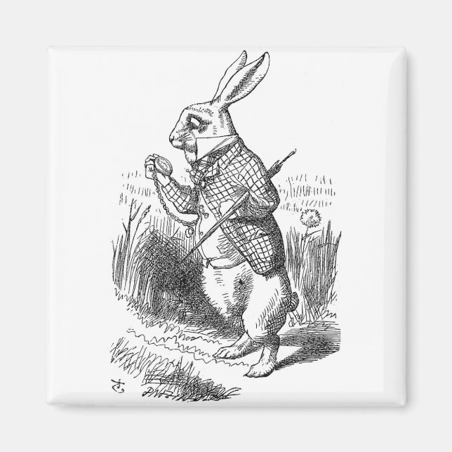 Rabbit Magnet (Vorne)