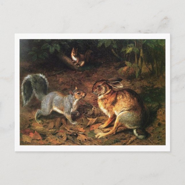 Rabbit Meet Eichhörnchen Postkarte (Vorderseite)