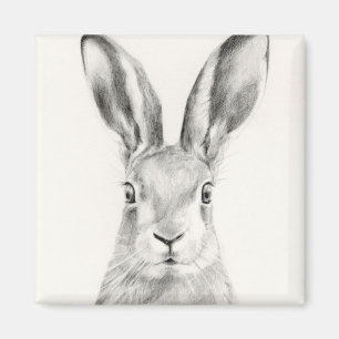 Rabbit Pencil Drawing Magnet