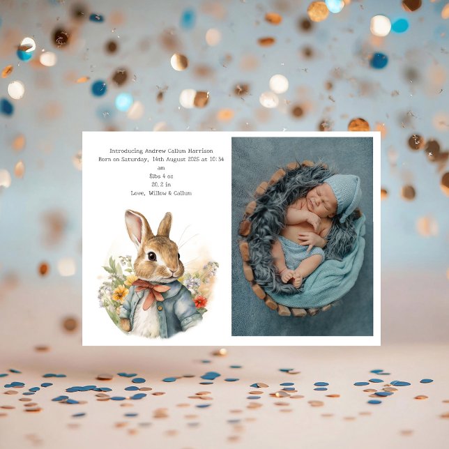 Rabbit Peter (Von Creator hochgeladen)