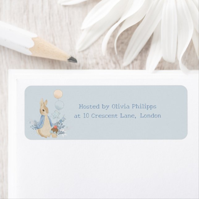 Rabbit Peter Baby Dusche Sein a Boy (Insitu)